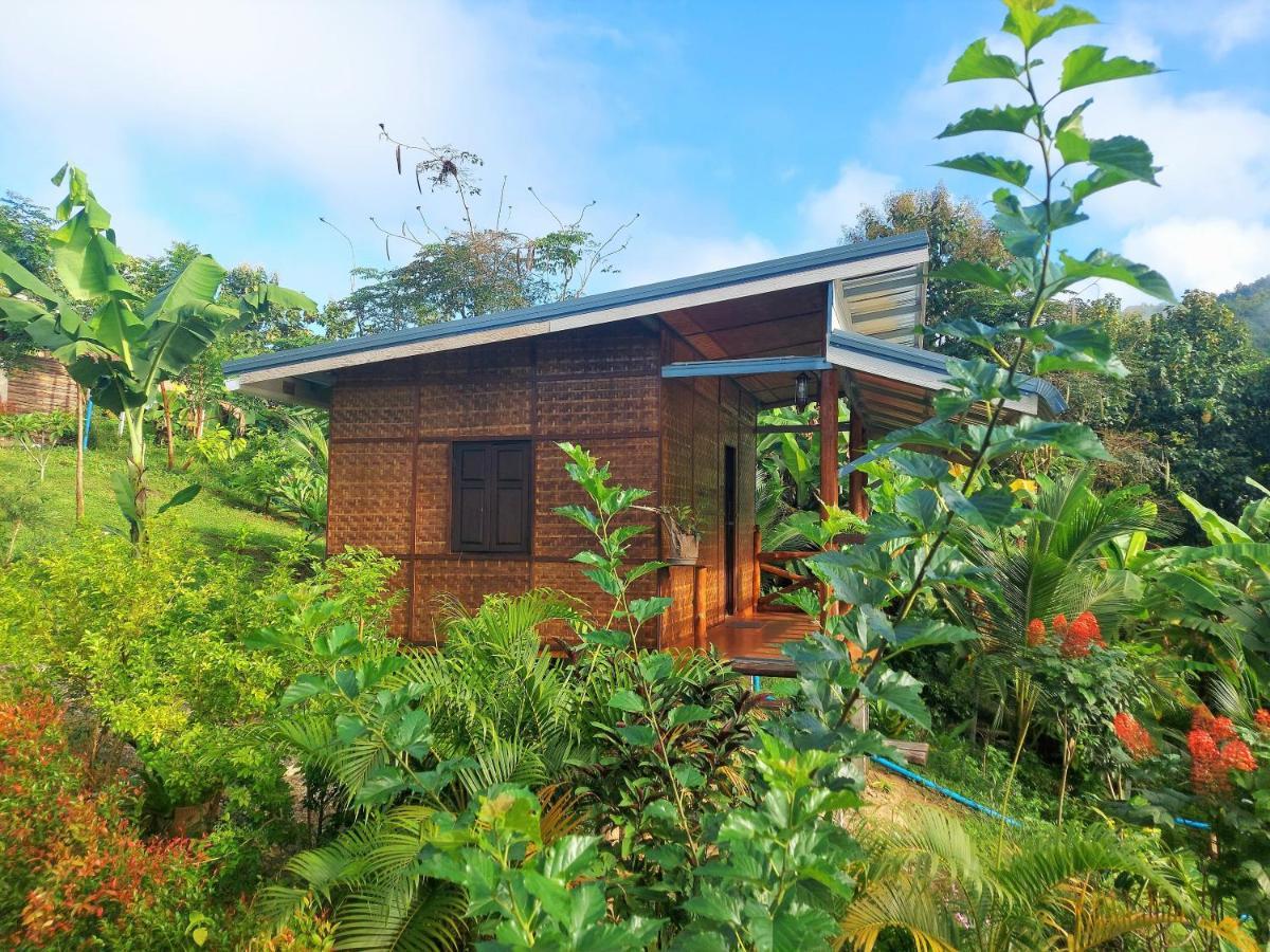 True Nature Chiang Mai - Yoga & Meditation Homestay Retreat Exterior foto